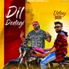 About Dil Dedegi Song